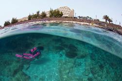 Lanzarote Dive Centre - Canary Islands.